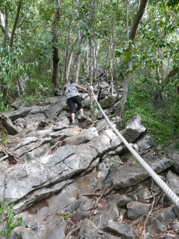 Nina going up trail